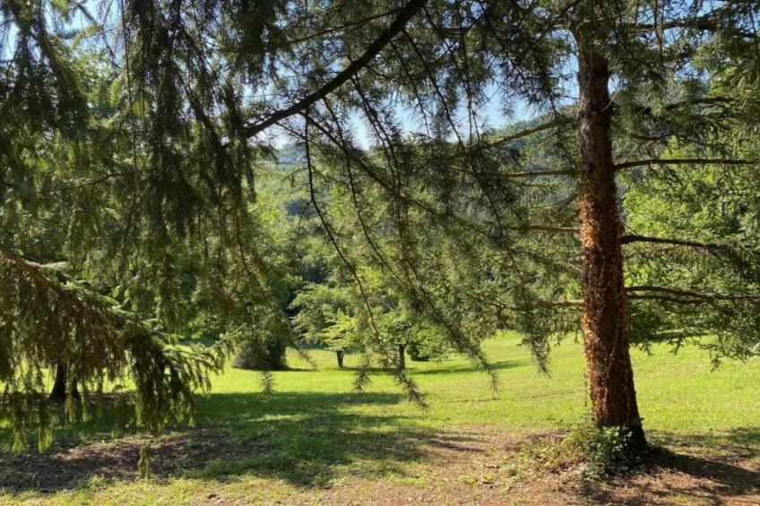 Villa Carpaneto - foto 27