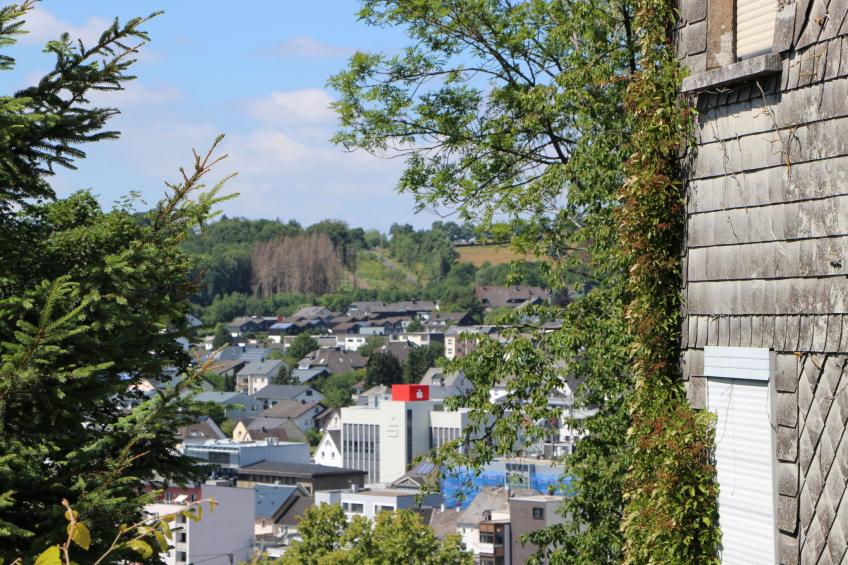 mit Grill in Bad Marienberg - foto 15