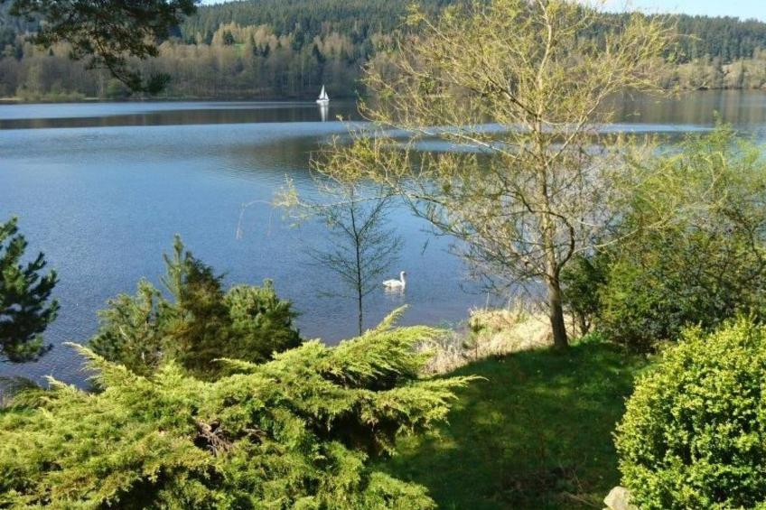 Haus am See - foto 4