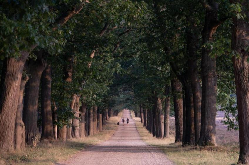 Buitenplaats Holten 16 - foto 29