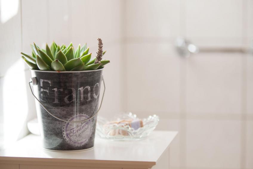 Villa Madalena - foto 27