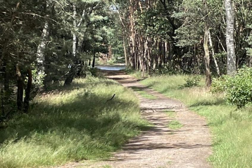 Dwergarend 17-30 - foto 36