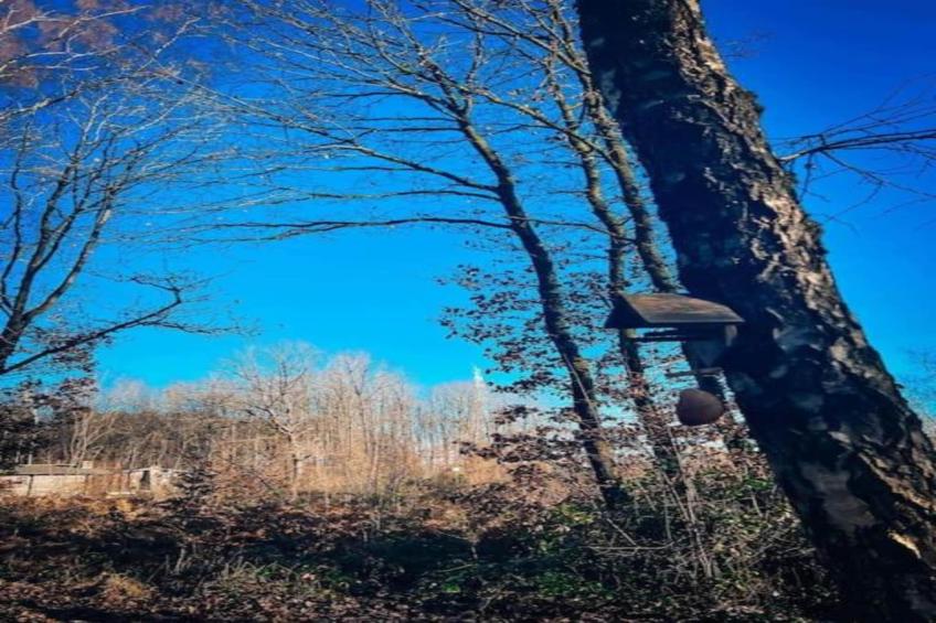 Village de Vacances Oignies 6 - foto 24