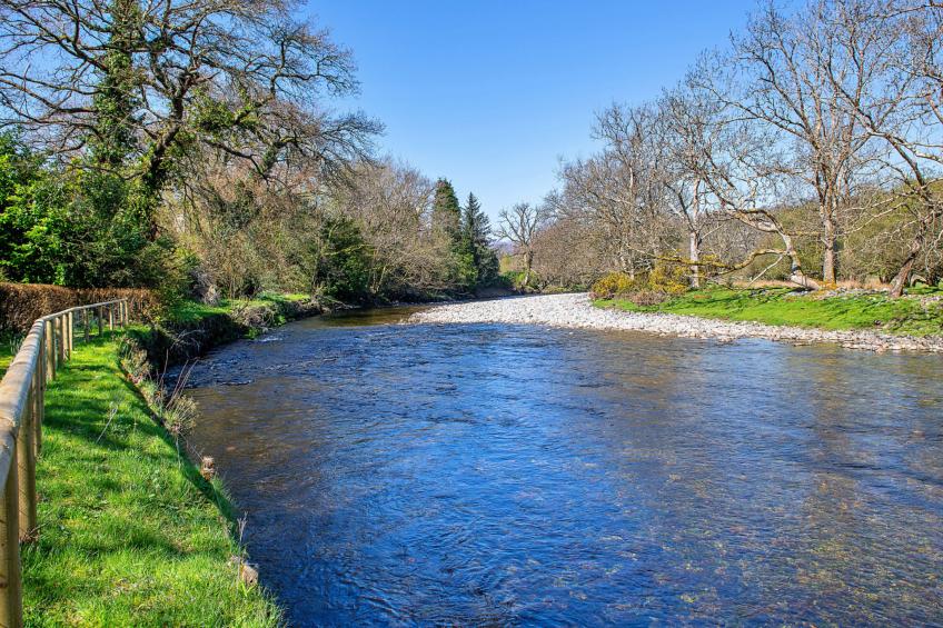 Felin Ship - foto 33