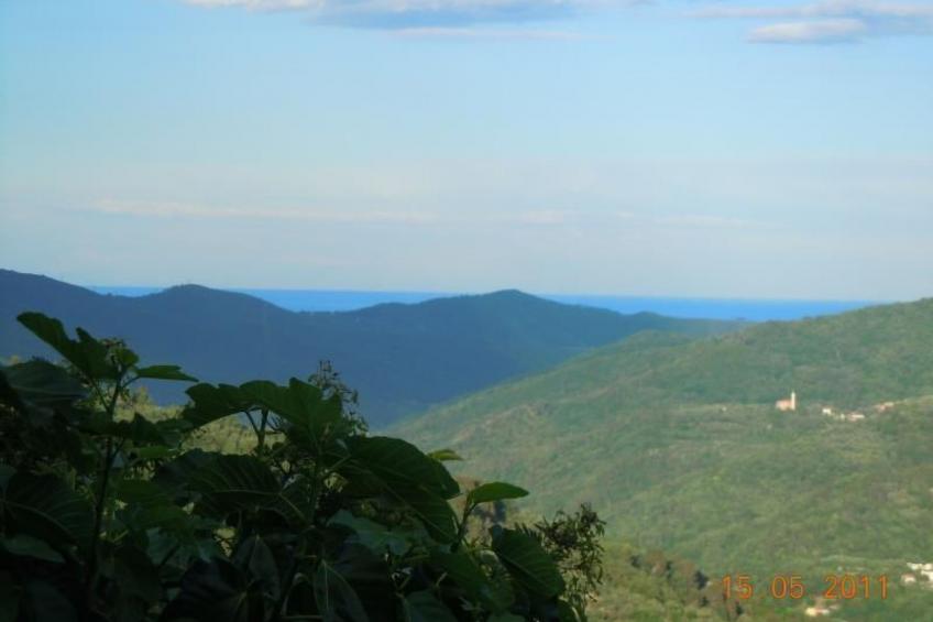 Schönes Ferienhaus mit Garten und Whirlpool - foto 13
