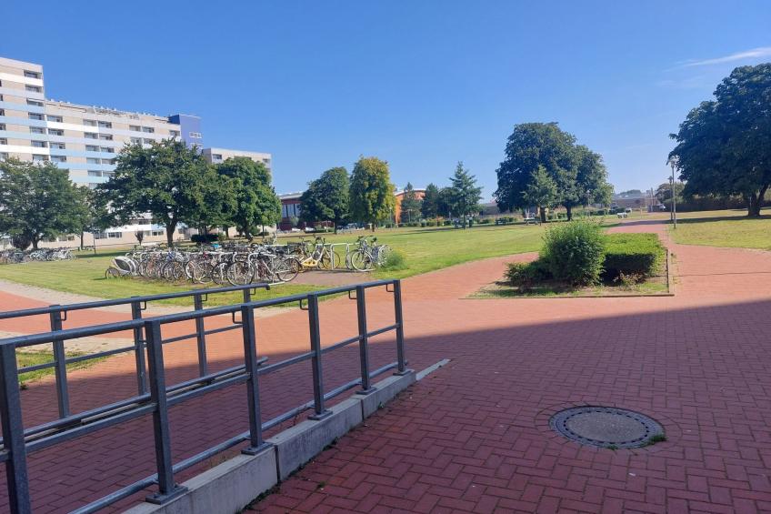 Sonnenaufgang - foto 3