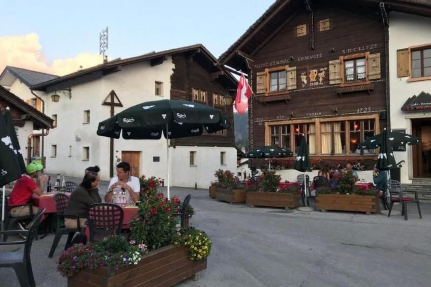 Blue Merle - foto 43