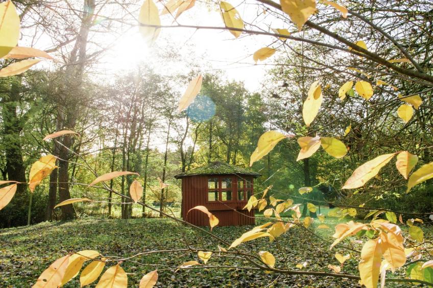 Lüneburger Heide - foto 40