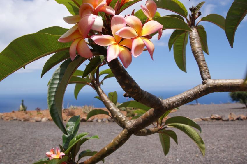 Romantische Ferienvilla mit Infinity-Pool und Panoramameerblick - foto 38