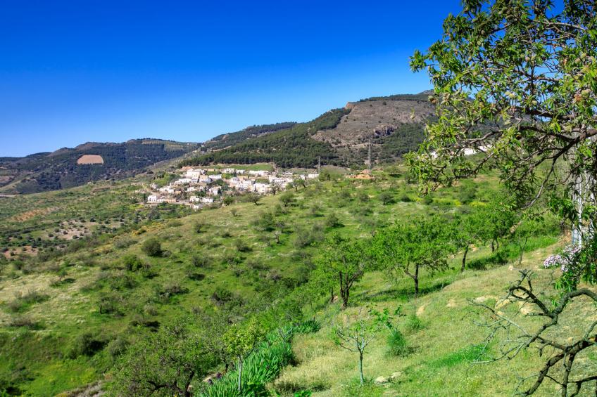 Paraje Starlight Murtas - Alpujarra - foto 40