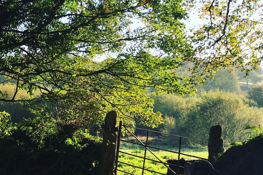 Idyllisches Landhaus mit wunderschönem Garten - foto 22