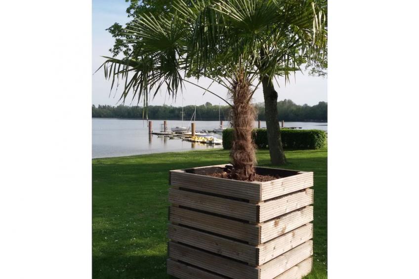 223596 - foto 13