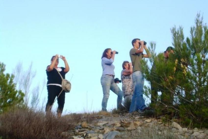Tenguerengue - foto 19