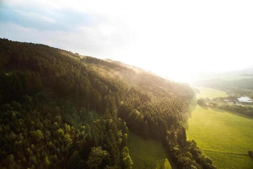 Ferienwohnung Frankenberg - foto 31