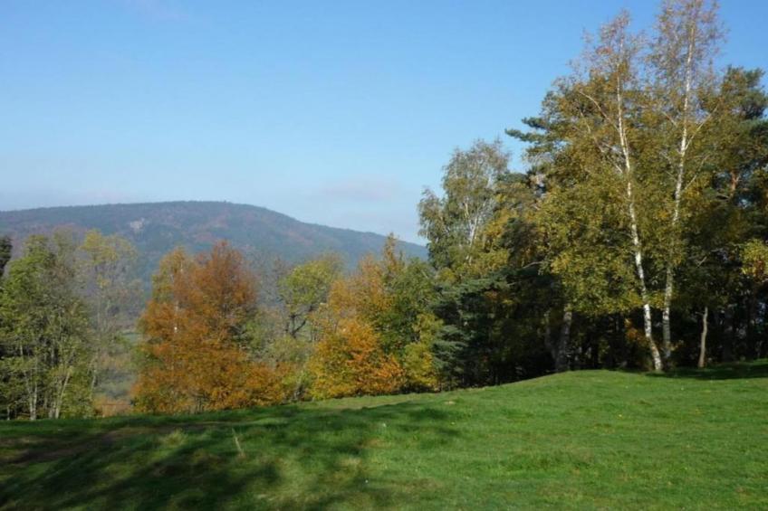 Goutte-Claire - foto 31