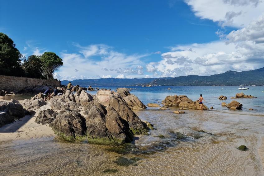 Résidence U Livanti Belvédère Campomoro - Chalet Casane - foto 32
