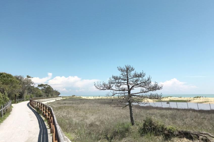 auf einem ummauerten Grundstück - foto 44