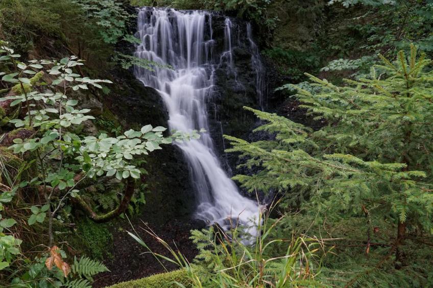 Vakantiehuis, Wieda - foto 37