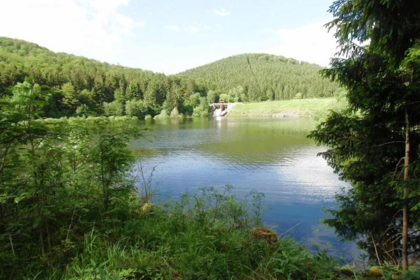 Hahnenklee 612 - Bergblick - foto 38