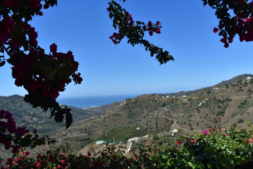 Finca Ortiz mit privatem Pool - foto 4