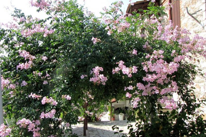 Lefokastro Pilion - foto 18