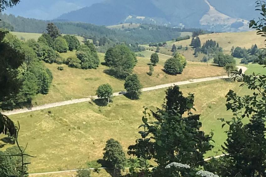 Haus Alpenblick - foto 10