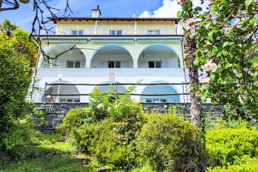 Vernice Gialla - foto 28