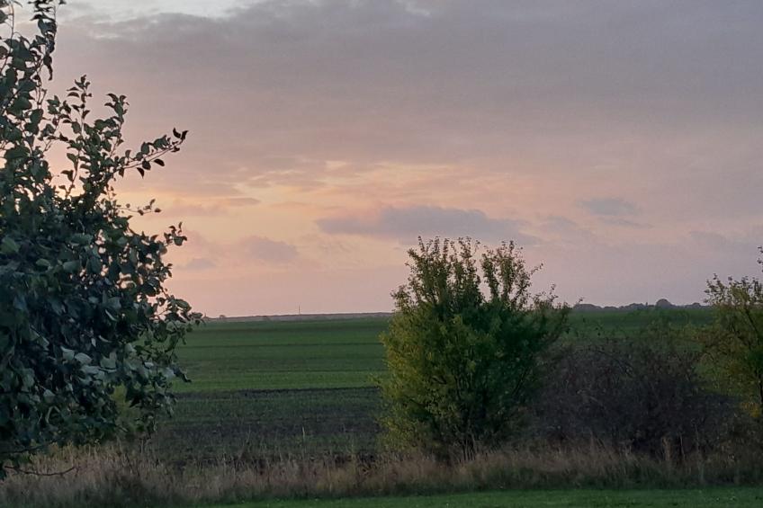 Seeschwalbe - foto 21