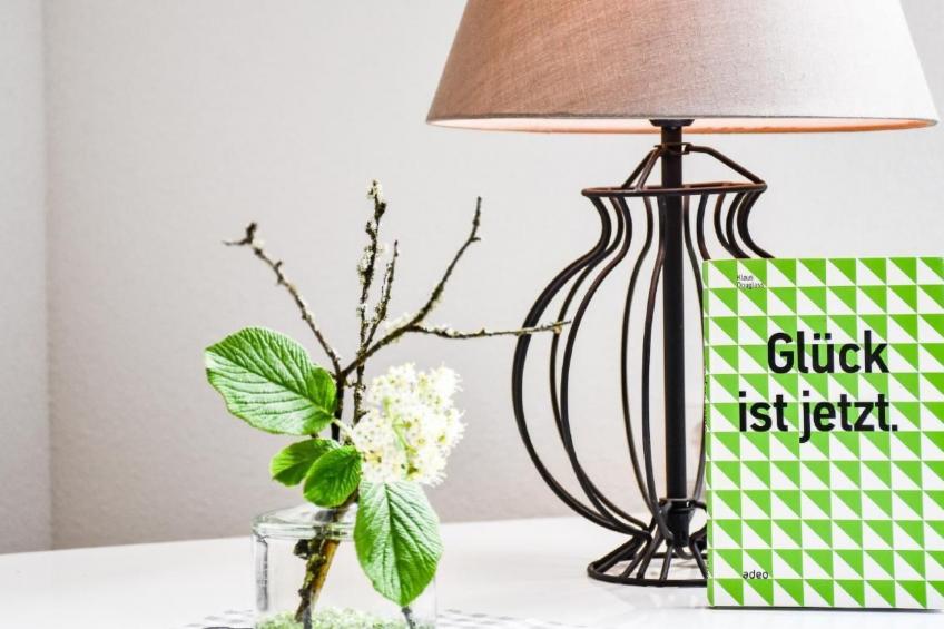 FeWo mit Whirlpool und Fass-Sauna im Schwarzwald - foto 25