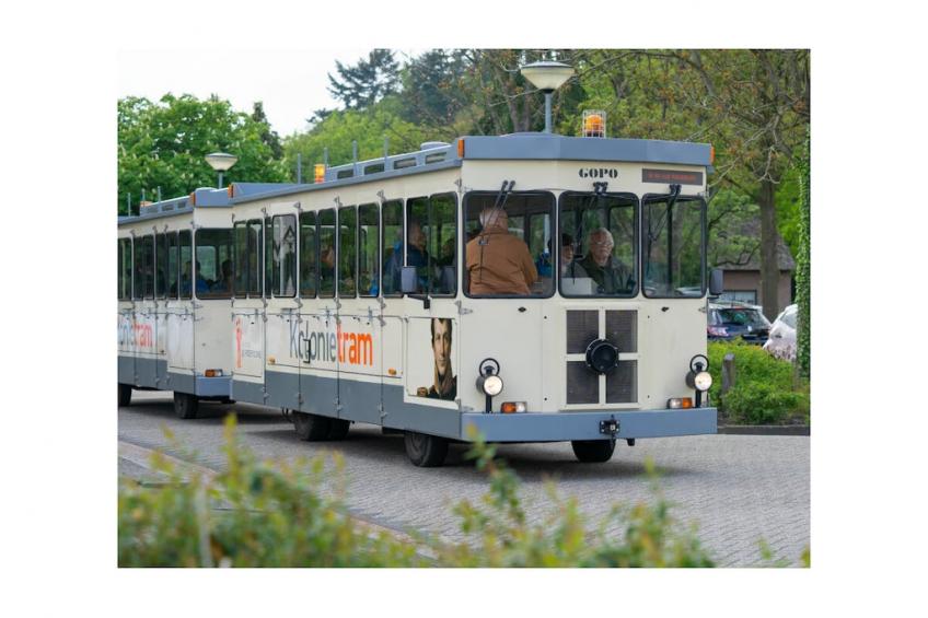 437502 - foto 24