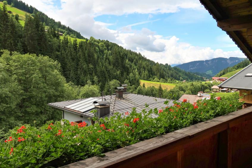 Haus Fichtenblick (WIL521) - foto 25