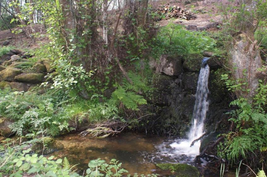 Casa Oliveirinha - foto 30