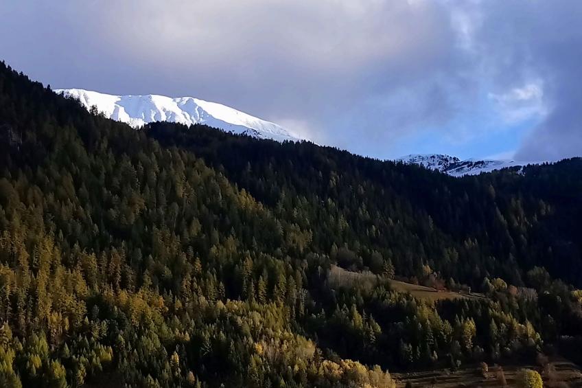 Komfortables Chalet in ruhiger Lage mit Panoramablick in der Nähe von La Plagne - foto 12