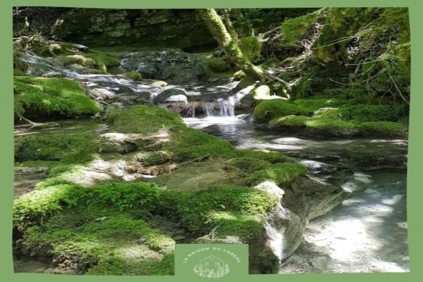 Maison de grand charme - foto 30