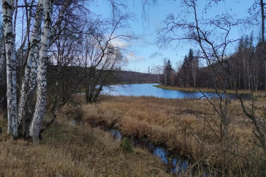 Ferienhaus in Hasselfelde - Haus 59 Blauvogel - foto 36