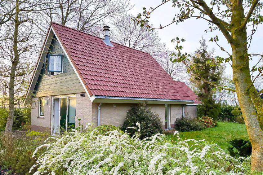 Zon in de duinen - 33 - foto 7