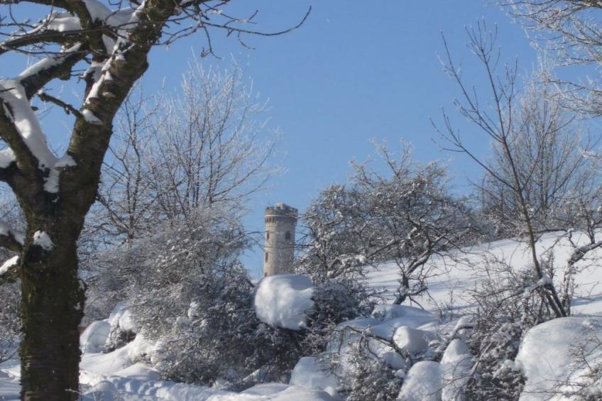 Gemütliche Ferienwohnung mit Garten - foto 17