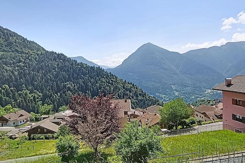 Festér - foto 58