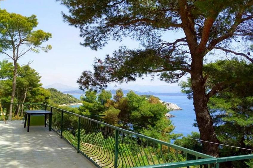 Apartments Matuško Mljet - One Bedroom Apartment with Balcony and Sea View - foto 22