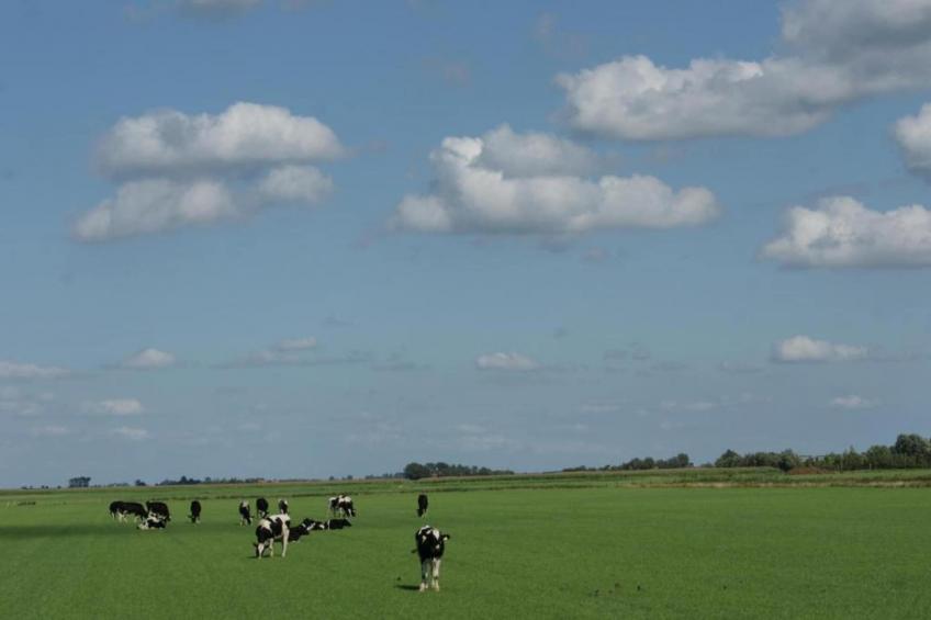 B&B de Gouwe Tijd - foto 15