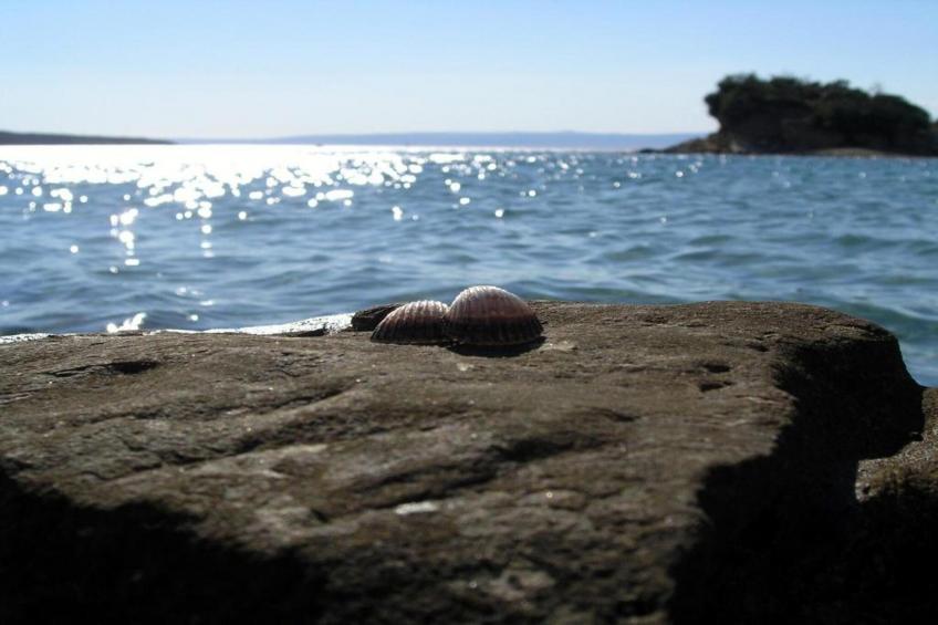 Apartments Jurica - Apt 4 with Sea View - foto 37