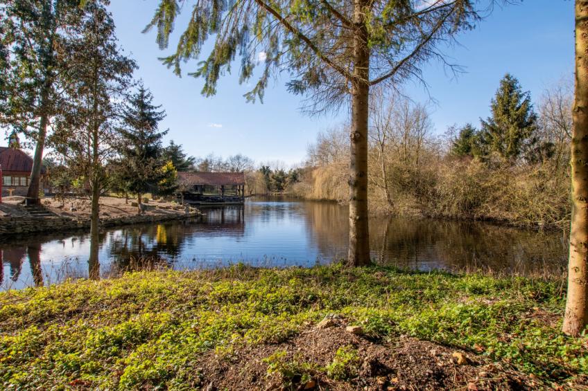 Hazel Rose Cottage - foto 8