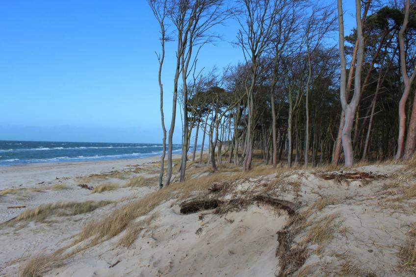 Gemütliches Ferienhaus mit eigener Terrasse - foto 14
