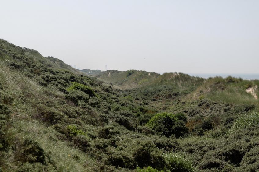 RESIDENTIE GRAND AIR 1B - foto 15