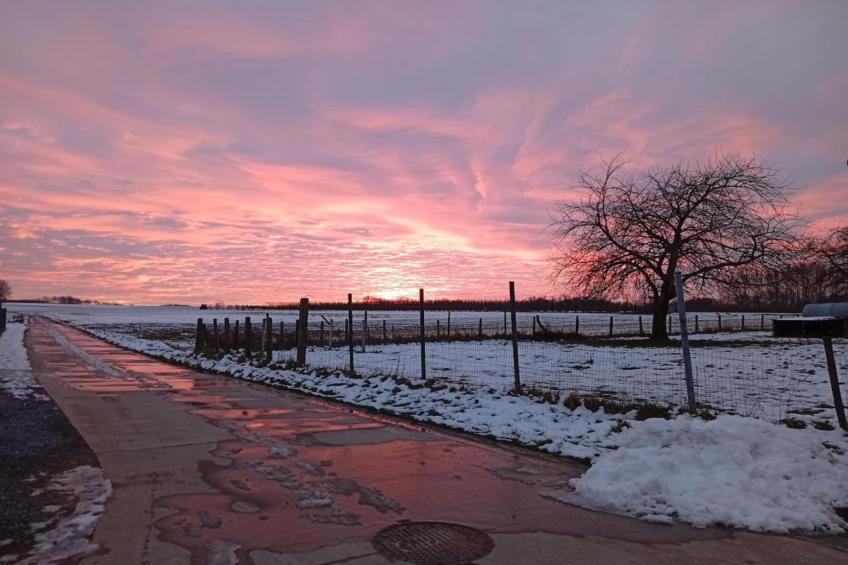 Huis van de raaf - foto 35