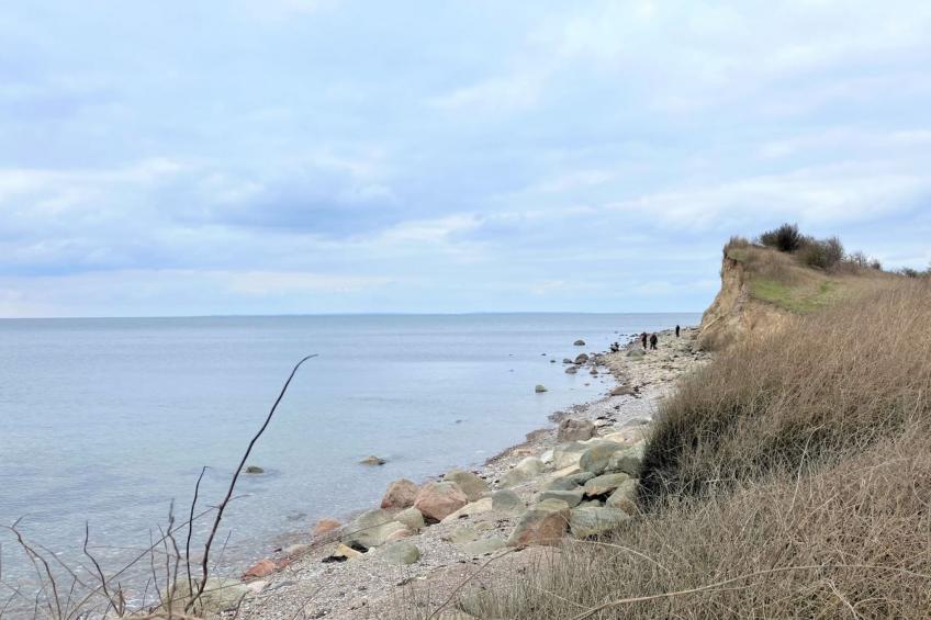 "Ottmar" - 150m from the sea in Funen - foto 5