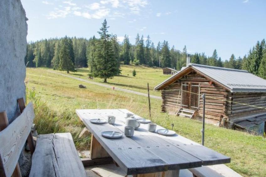 Alphütte-Maiensäss Got Spess Lenzerheide - foto 16