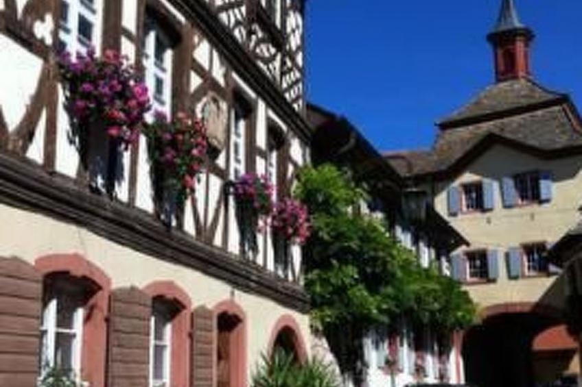 Tolle Ferienwohnung in Burkheim - foto 6