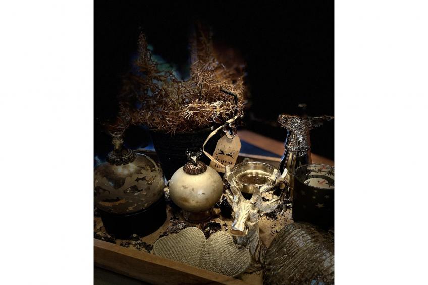 La Linotte - foto 38