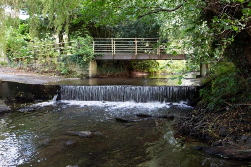 Netley Hall - Angelica - foto 26